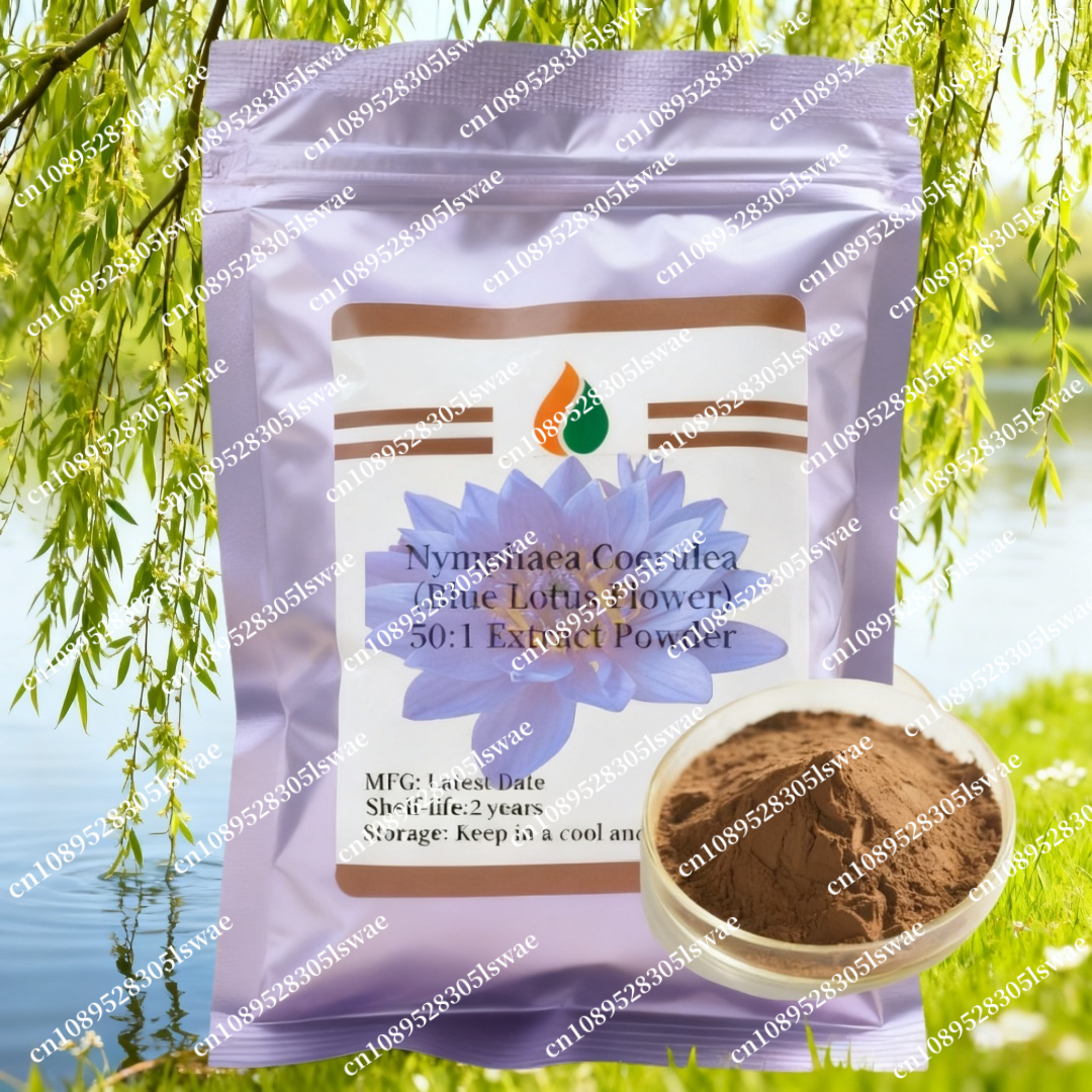 Ginkgo Biloba Extract - Factory professional packaging and sealing 50-1000g