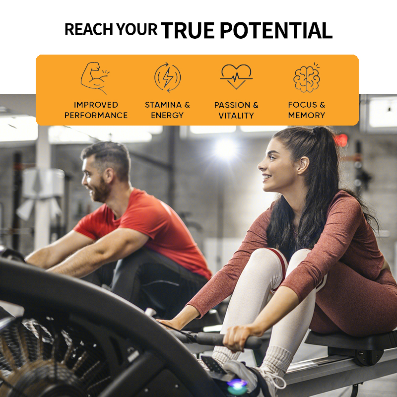 Ginseng + Ginkgo Biloba Extrac - Ginkgo Biloba Extract recensie en prijs