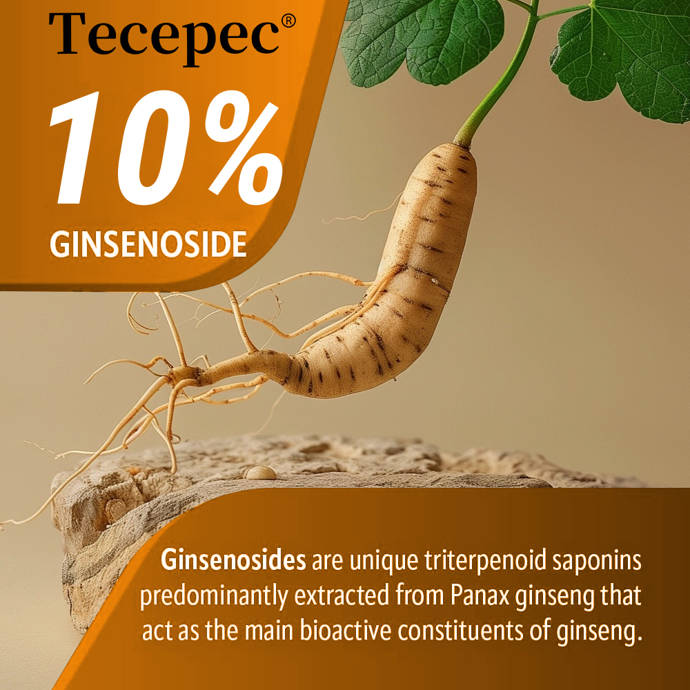 Ginseng + Ginkgo Capsules - Bo - Ginkgo Biloba Extract recensie en prijs