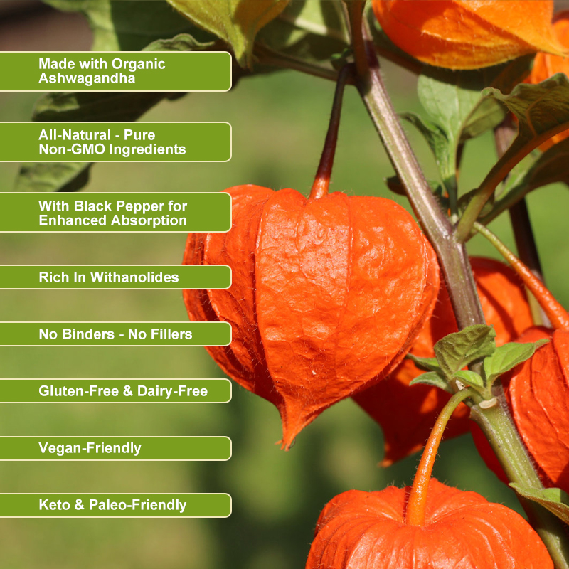 Kexinsh Ashwagandha Capsules A - Herbal Weight recensie en prijs