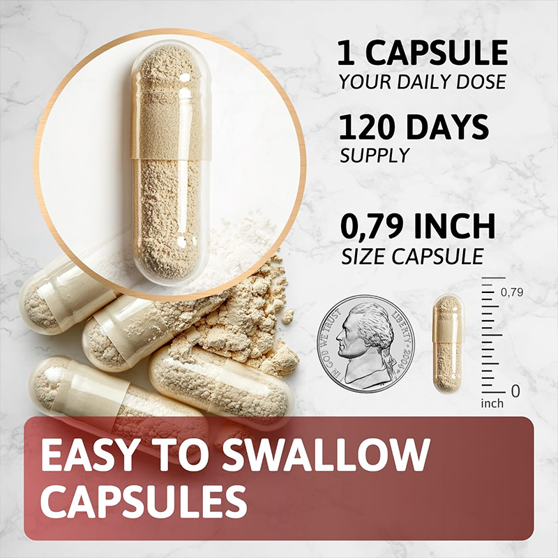 Organic extract mixed with 60  - Ginkgo Biloba Extract recensie en prijs
